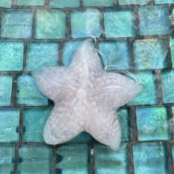 Rose quartz starfish carving