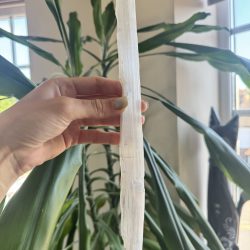 Selenite wand - 30cm