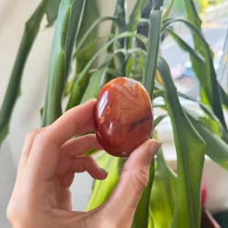 Carolinian palm with Druzy
